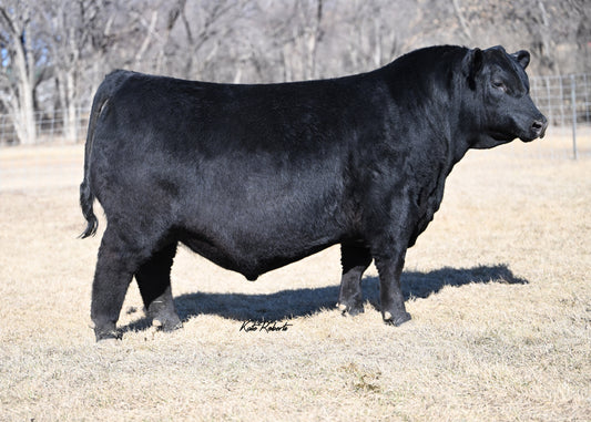 SAV Beneficial 4253 Semen