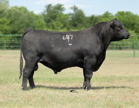 Sitz Intellect 687L Registration Certificate