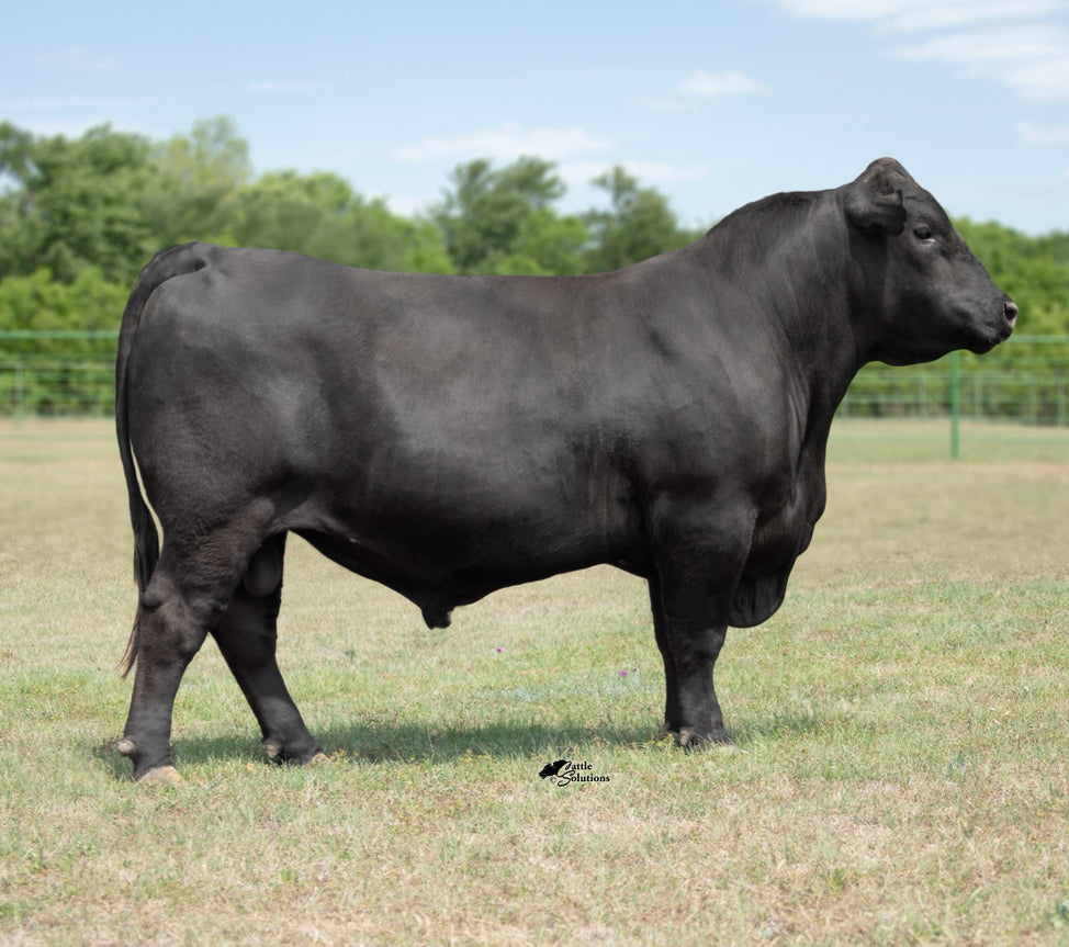 44 LOCASH K103 Semen