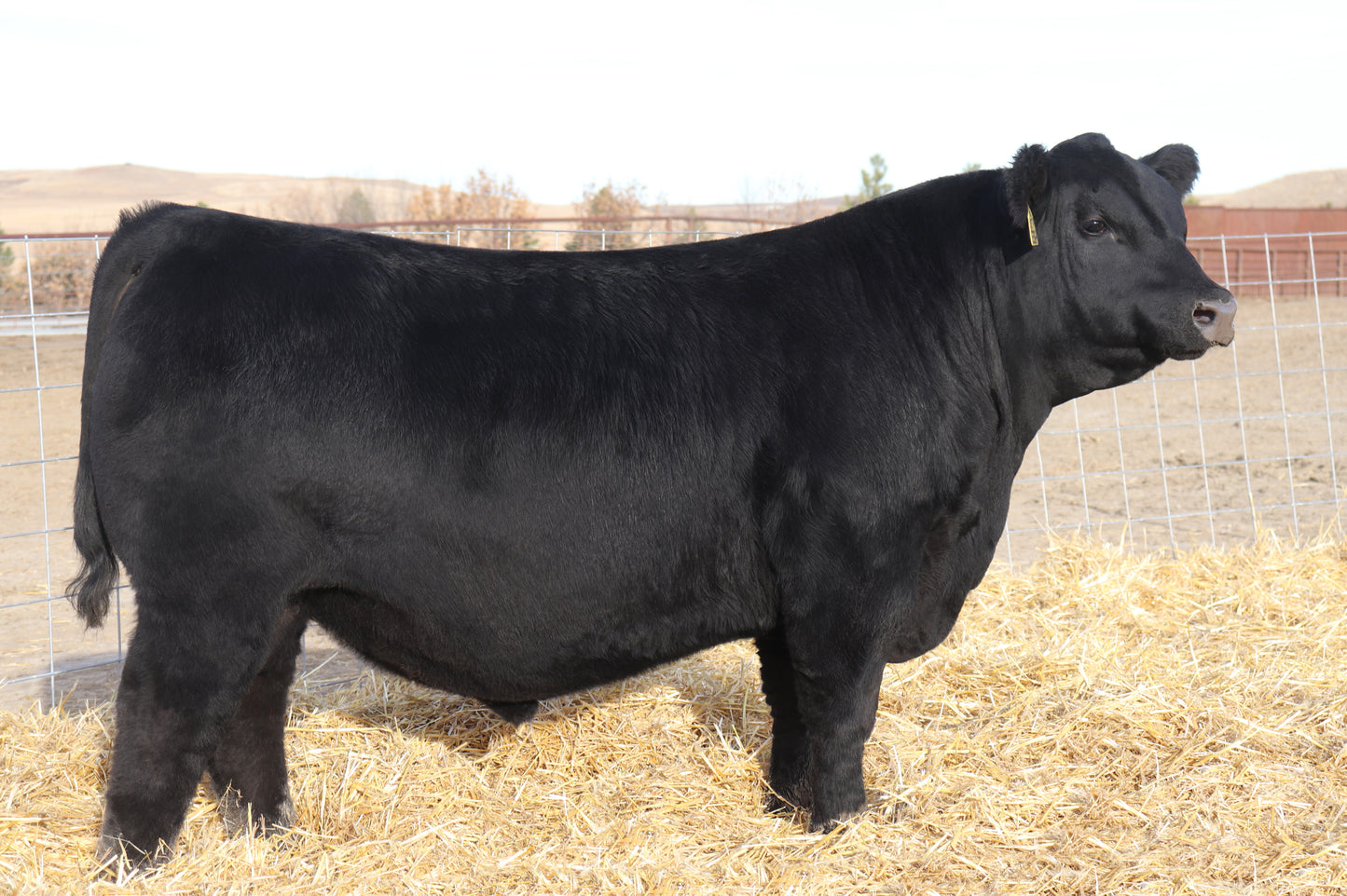 SAV Beneficial 4253 Semen Waitlist