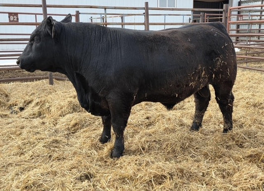 Sinclair Rito N004 Semen